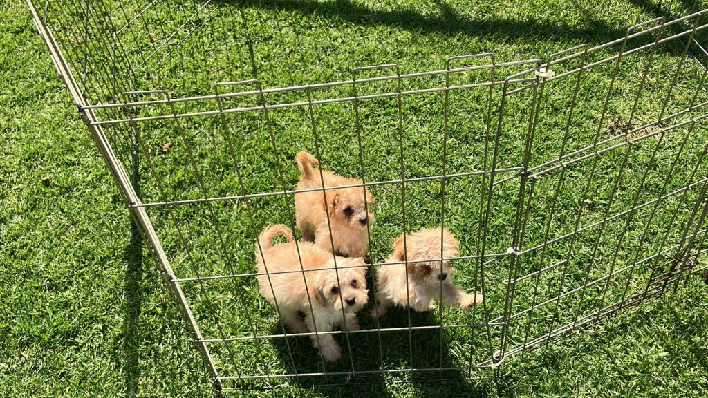 WhatsApp Image 2024-12-28 at 23.53.07