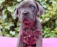 WhatsApp Image 2024-08-19 at 10.55.01 PM