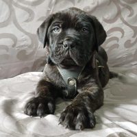 WhatsApp Image 2024-08-20 at 12.42.29 AM